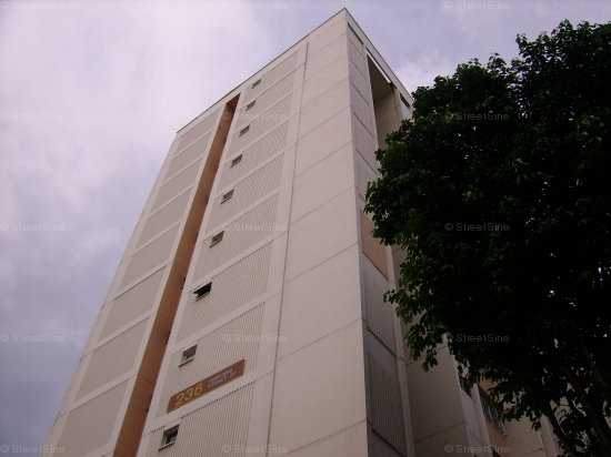 Blk 236 Tampines Street 21 (Tampines), HDB 4 Rooms #85682